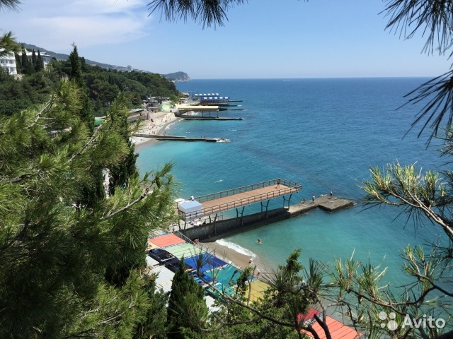 Сдам посуточно квартиру-студию в Крыму г.Ялта пгт.Мисхор, бывший корпус санатория 'Ай-Петри'. До моря пешком 5 минут.... - 10