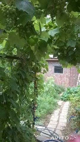 Продается 3-эт. жилая дача, 100 м2. С мебелью и бытовой техникой. 4 уютные жилые комнаты, камин, кухня, прихожая.... - 11