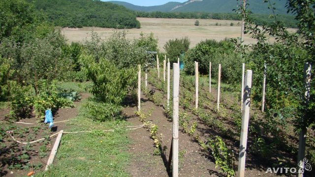 продаётся усадьба,в живописном уголке Крыма,с.Поляна,окружает буковый лес,озёра,горы!дом 2008 г постройки,имеется гос... - 10