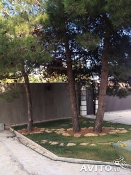 Вилла в Крыму  срочная продажа  2-х этажный дом 494 м² (ракушечник) на участке 20 сот. ИЖС ул. Муромская в черте... - 2