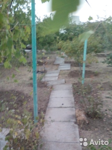 Продам дачу в дачном массиве в поселке ГРЭС, под застройку, с возможностью выкупить соседний участок с домом,... - 1
