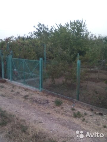 Продам дачу в дачном массиве в поселке ГРЭС, под застройку, с возможностью выкупить соседний участок с домом,... - 5