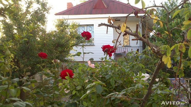 Сдам ДОМИК у моря в Вязовой роще (Орловка). На территории закрытого охраняемого СТ. Максимальное размещение: 3...