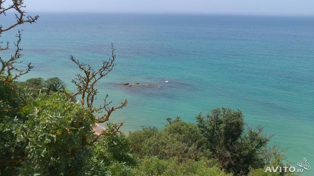 Сдам ДОМИК у моря в Вязовой роще (Орловка). На территории закрытого охраняемого СТ. Максимальное размещение: 3... - 2
