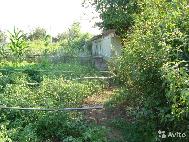2-этажный дом 100 м² (кирпич) на участке 10 сот., 5 км до города  продаю дом в...КРЫМУ...с... - 4