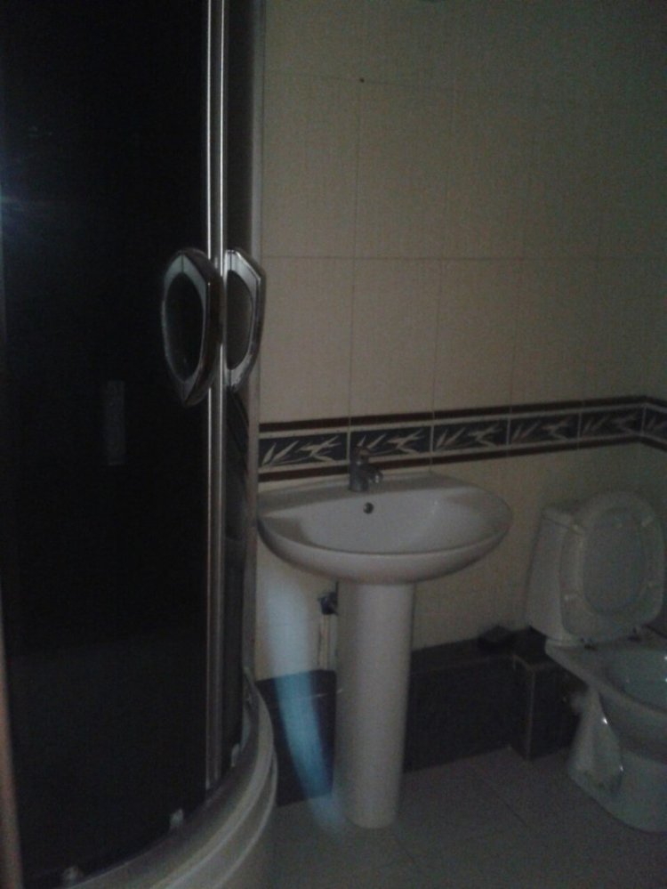 120 кв.м. 2 уровня  ул. Лермантова Консолевский дом.  2 сан.узла (в одном большая угловая ванная, в другом- душевая... - 9