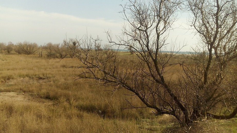 Внимание! Спешите недорого купить у моря земельный участок в Крыму, Евпатория, пгт. Мирный, кооператив 'Вотчина'.... - 8