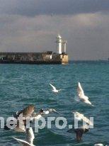 Продается, элитный - 3 этажный коттедж на берегу моря, 30 метров от кромки воды, в Ялте Крым /старый центр/, первая... - 2