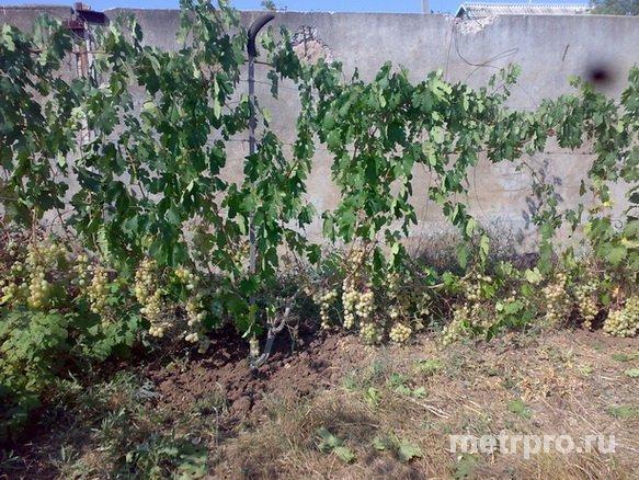 Участок 10 соток (28 на 36 метров) находится в городской черте в садоводческом обществе Авиатор, огорожен... - 3