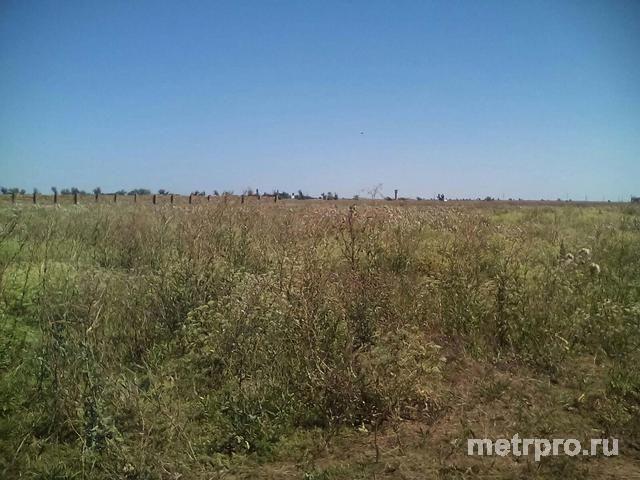 п Заозерное. Продается участок 60 соток. Участок ровный, правильной формы, ТУ в радиусе 300-400м. Рядом хороший... - 8