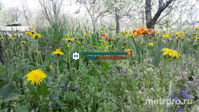 г. Феодосия, ул. Дружбы. Продается земельный участок 10 соток, ИЖС. Коммуникации рядом