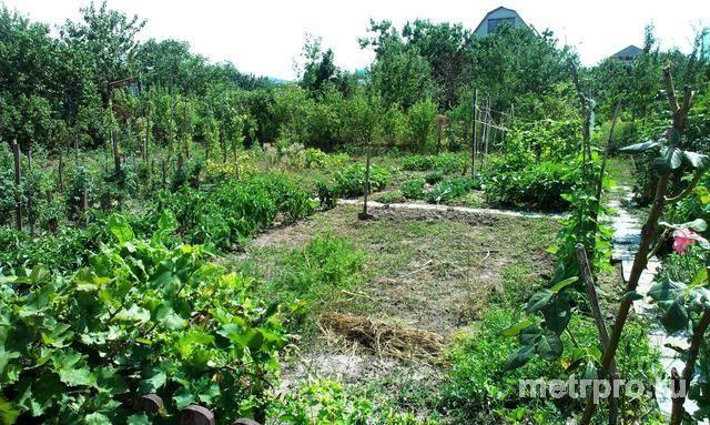 с Ближнее, ул Феодосийская, дом 108,5 кв. м, участок 6,7 сотки.В доме газ,вода,свет.Вода постоянно.Установлен 2-х... - 26