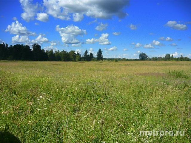 пгт Приморский, Парус СТ, 2 линия. Продажа, участок, 12 соток, госакт.Участок находится на 2 линии.Госакт под...