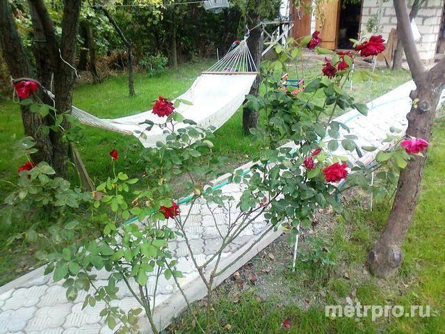 пгт Орджоникидзе, 2 левая линия, дача, 100 кв. м, участок 4 сотки. 300м до моря, 2-х этаж дом. Первый этаж, кухня,... - 12
