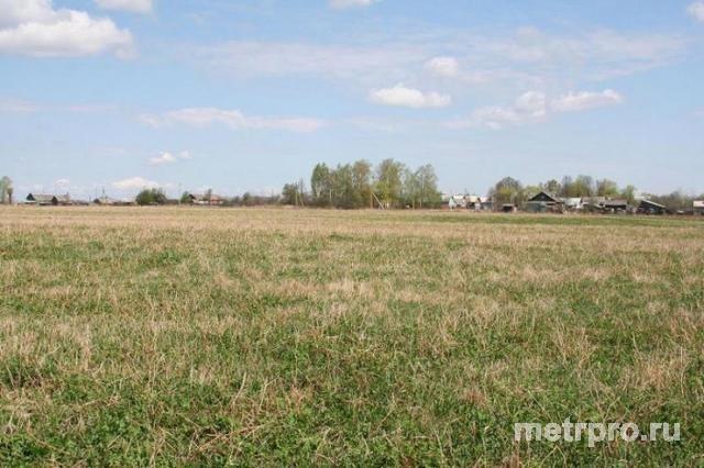 пгт. Приморский, СТ Нептун. Продажа, участок 6 соток, садоводство.Садовая книжка.Вода есть,электричество проходит по...