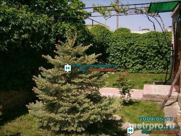 с Береговое, пер Южный. Продается дом, в курортном поселке общей площадью 296 кв. м,  АОГВ, хорошее жилое состояние,... - 19
