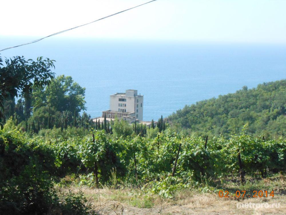 ДОМИКИ в ЛАЗУРНОМ(Алушта) (размер 2,5 х 4 м). Сделаны из толстого природного материала «ракушка». В них не жарко,... - 3