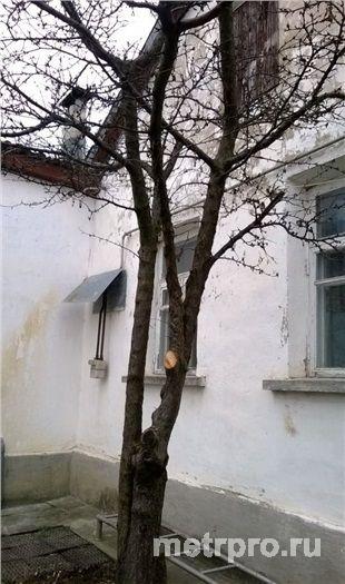 Центральный район. Продается 1/2 дома площадью 47.7 кв.м с отдельным входом, заездом для машины, отельные счетчики на... - 1
