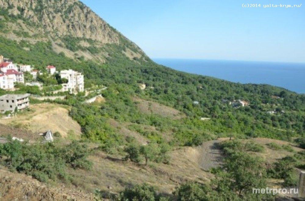 Большой земельный участок в Гурзуфе 0,8 Га (гос. акт). Экологически чистый район, великолепный панорамный вид на море... - 4