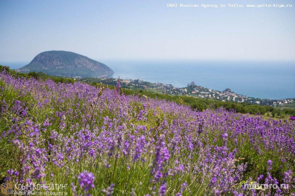 Предлагаем купить 4 участка в Крыму, на ЮБК, в с. Партизанское над поселком Гурзуф (большая Ялта). Все участки... - 8