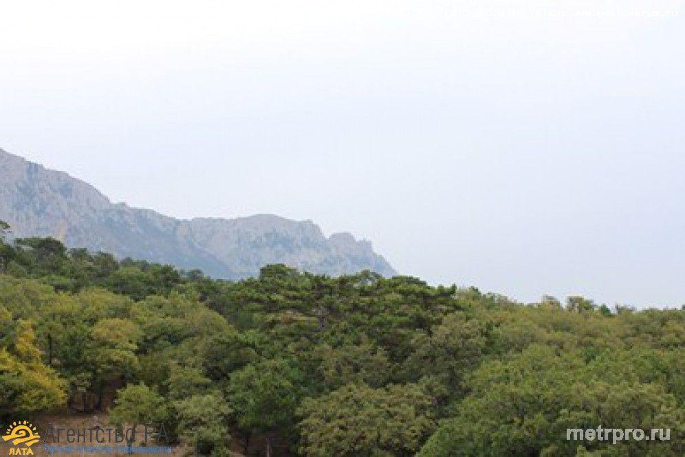 Продаётся дом, недалеко от Ялты, в заповедной зоне (Алупка). Хороший подъезд к дому, полное автономное техническое... - 5