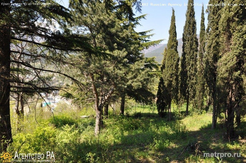 Продам: Участки в Крыму в г. Ялта, Массандра: продается земельный участок 8 соток в Массандре. Участок ровный, с...