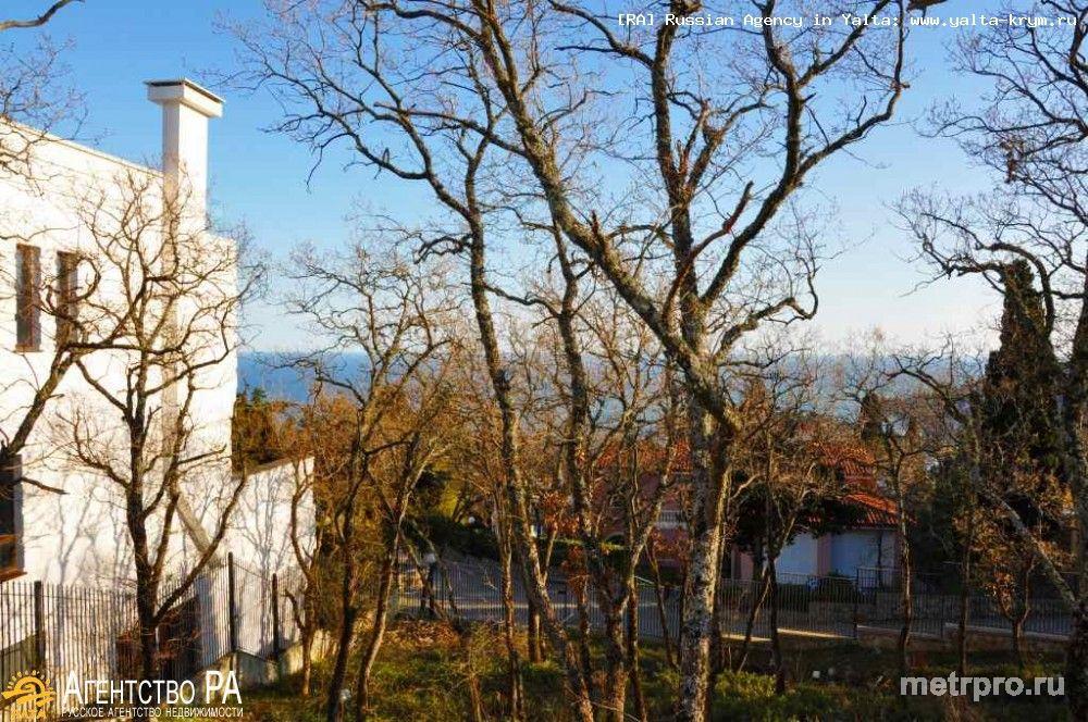 Продажа участок 15 соток в Гурзуфе (имеется 2 участка, возможно купить вместе, т.е. 30 соток): на территории элитного... - 6