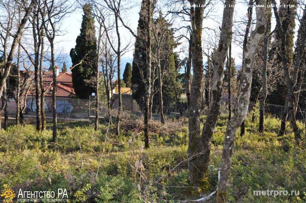 Продажа участок 15 соток в Гурзуфе (имеется 2 участка, возможно купить вместе, т.е. 30 соток): на территории элитного... - 7