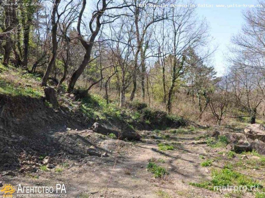 Продажа: участок 8,5 соток в пгт. Массандра г. Ялта. Участок находится в тихой зеленой зоне в черте города. Особенное... - 2