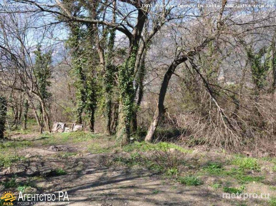 Продажа: участок 8,5 соток в пгт. Массандра г. Ялта. Участок находится в тихой зеленой зоне в черте города. Особенное... - 4