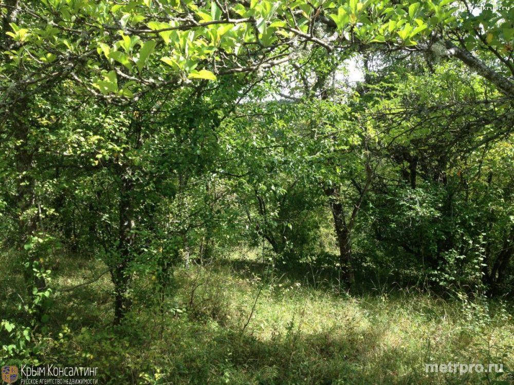 Продается участок село Многоречье, район Большого каньона, Бахчисарайский район, Республика Крым. Маленькая... - 1