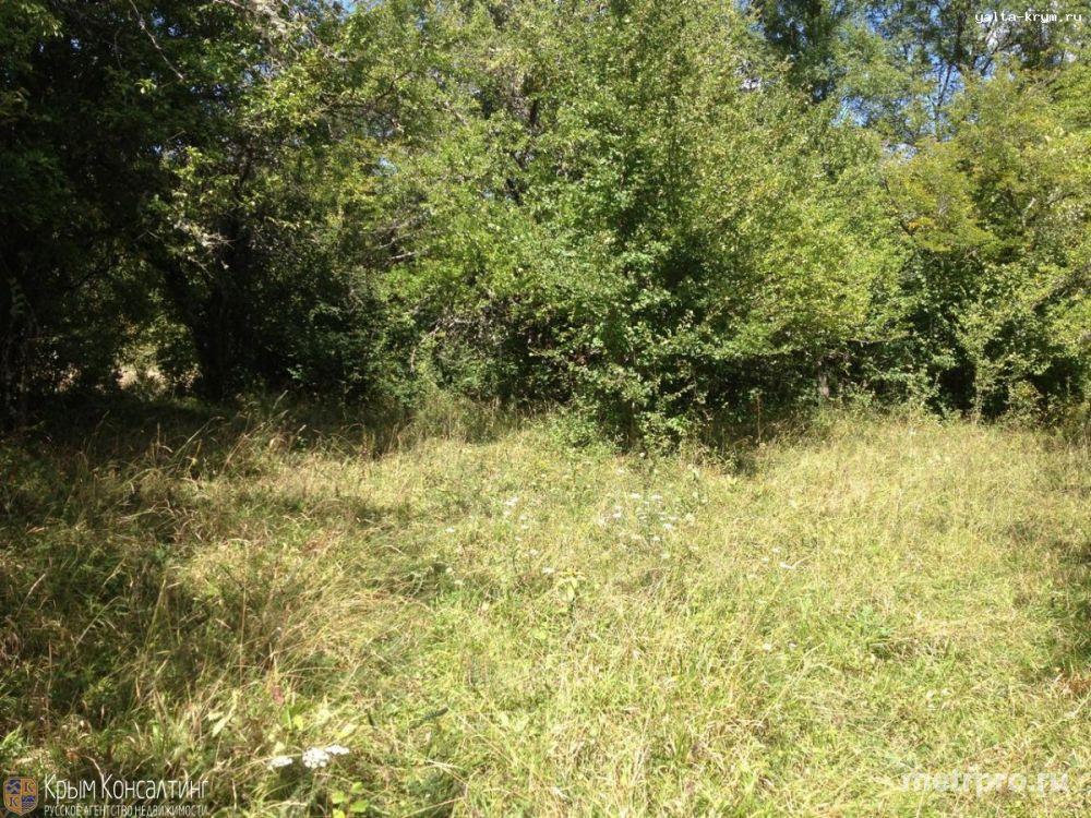Продается участок село Многоречье, район Большого каньона, Бахчисарайский район, Республика Крым. Маленькая... - 6