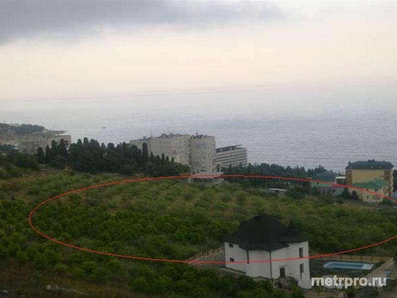 Продается участок земли в п. Кореиз (Мисхор), Ялта.  78 соток, в гос. актах.   Великолепное место под строительство...