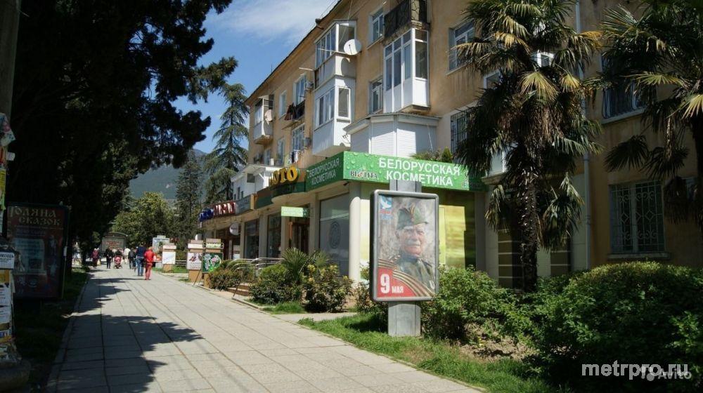 Квартира в аренду напротив центрального овощного рынка, в 5 минутах ходьбы вольным шагом от Набережной Ялты и 10мин.... - 6