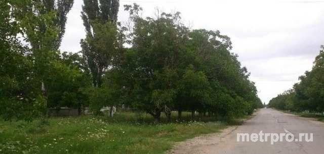 1-этажный дом 76 м  на участке 25 сот., 15 км до города село Первомайское. Дом саманный, жилой, высокий (чердак в... - 6