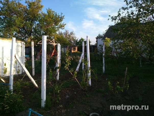 Отличный дом 90 кв м утеплённый, евро окна.На участке 12 сот. хоз постройки, плодовые деревья. - 5