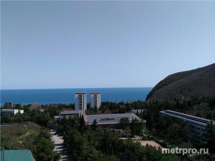 Супервидовая 1-комнатная квартира с качественным ремонтом. От Алушты 15 км, от Ялты 21 км. Живописнейший вид на...