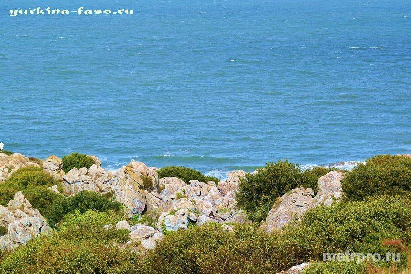 Отдых в Крыму - жильё для отдыха    Сдам домик у моря «Yurkina-faso» для желающих оставить городскую суету, «ворох... - 6