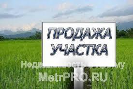 Продам красивый,ровный участок в Краснолесье(по Ялтинской трассе),10 соток,ИЖС!Живописный уголок,лес,горы,чистый...