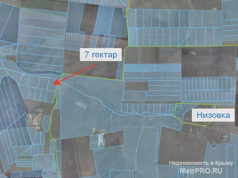 Продается земельный ПАЙ 7 га, Черноморский район, с. Низовка, госакт под сельскохозяйственное производство.... - 1