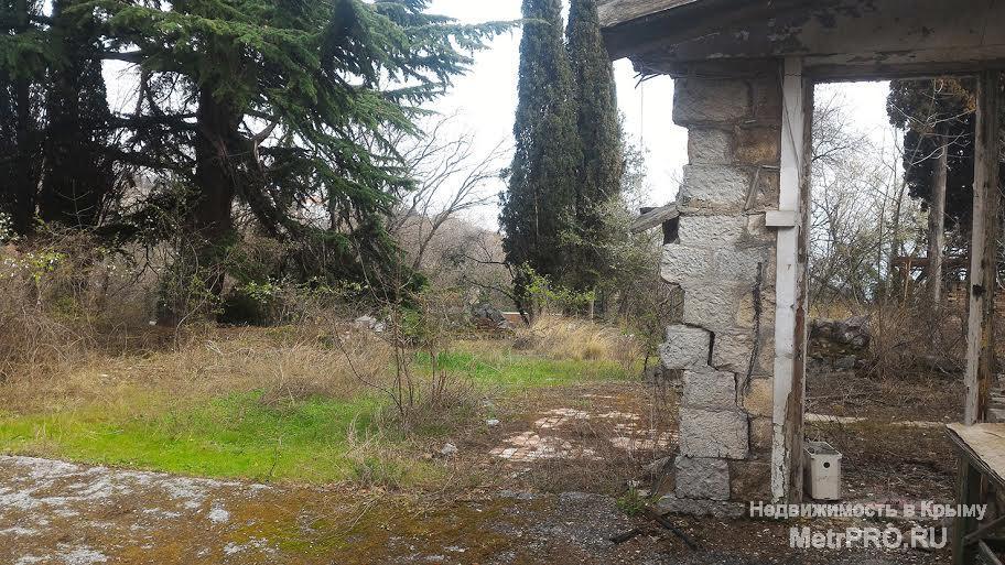 Участок в Отрадном (Магарач) 42 сотки, ровный, видовой участок, до моря 200 метров. Асфальтный подъезд, все... - 5