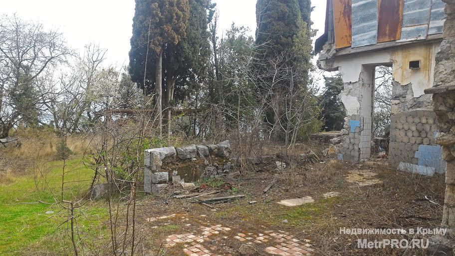 Участок в Отрадном (Магарач) 42 сотки, ровный, видовой участок, до моря 200 метров. Асфальтный подъезд, все... - 7
