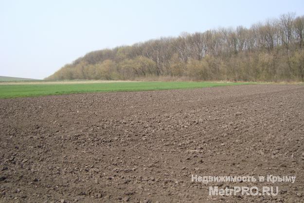 Продам земельный пай в р-не с.Колоски,7 км от Евпатории(Сакский р-н с.Колоски).5.2 ГА,назначение ЛКХ,есть возможность...
