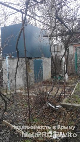 Продам уютную дачу с плодоносящим садом в активно застраивающемся СТ Морзаводец! Домик 24м2, 1 комнатка,... - 1