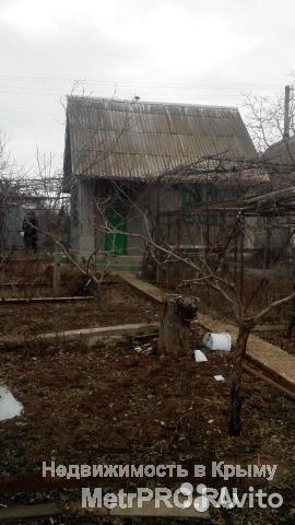 Продам уютную дачу с плодоносящим садом в активно застраивающемся СТ Морзаводец! Домик 24м2, 1 комнатка,... - 3