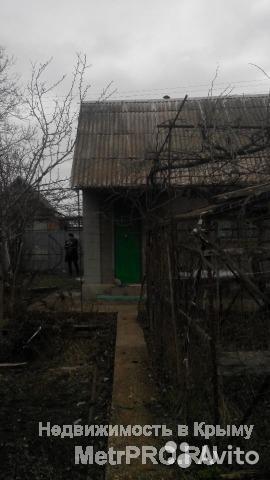 Продам уютную дачу с плодоносящим садом в активно застраивающемся СТ Морзаводец! Домик 24м2, 1 комнатка,... - 4