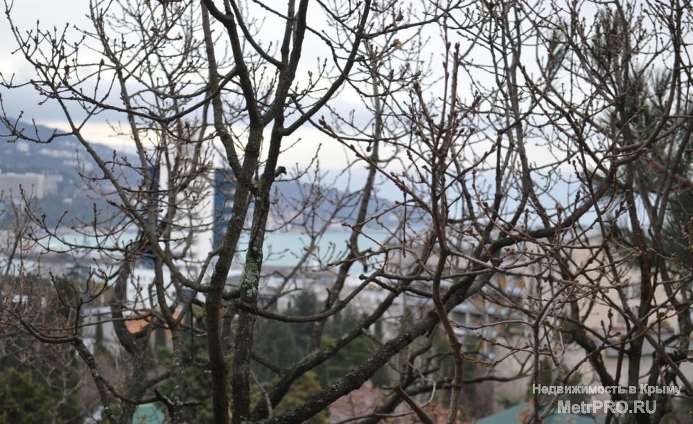 Продается просторная 3-х комнатная квартира в новом, клубном доме (в доме 5 квартир). Общая пл. 96 м2, жилая 62 м2,... - 12