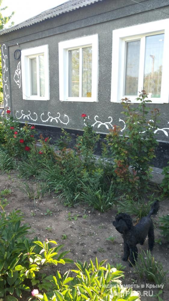 В связи с отъездом, в добрые и надёжные руки 2 дома из ракушечника, покупали в мае 2016г. и благоустраивали для себя,... - 1