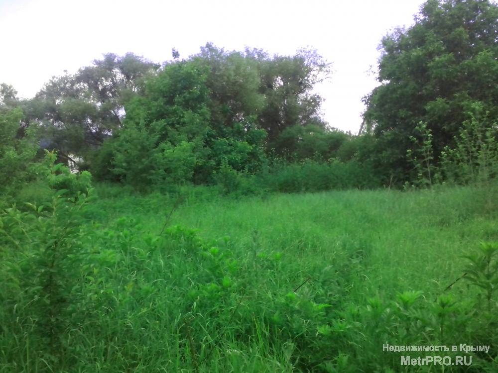 Продается участок в с.Заречное (Ялтинское шоссе) 3 линия от трассы!  Расстояние до трассы 1км.Есть подъезд к участку.... - 1