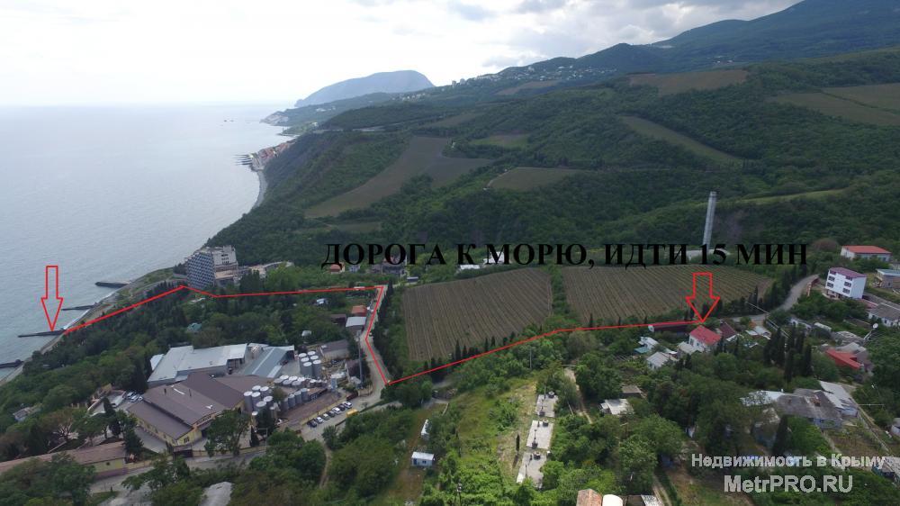 Предлагаем эконом отдых в посёлке Лазурное в 15 минутах от моря. Потрясающий вид на море и горы со всех сторон,... - 10